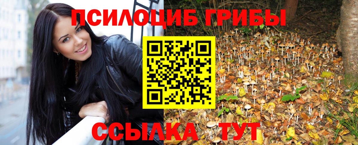 купить наркотик  Псилоцибиновые грибы Cubensis  Вход с VPN  Усолье-Сибирское 