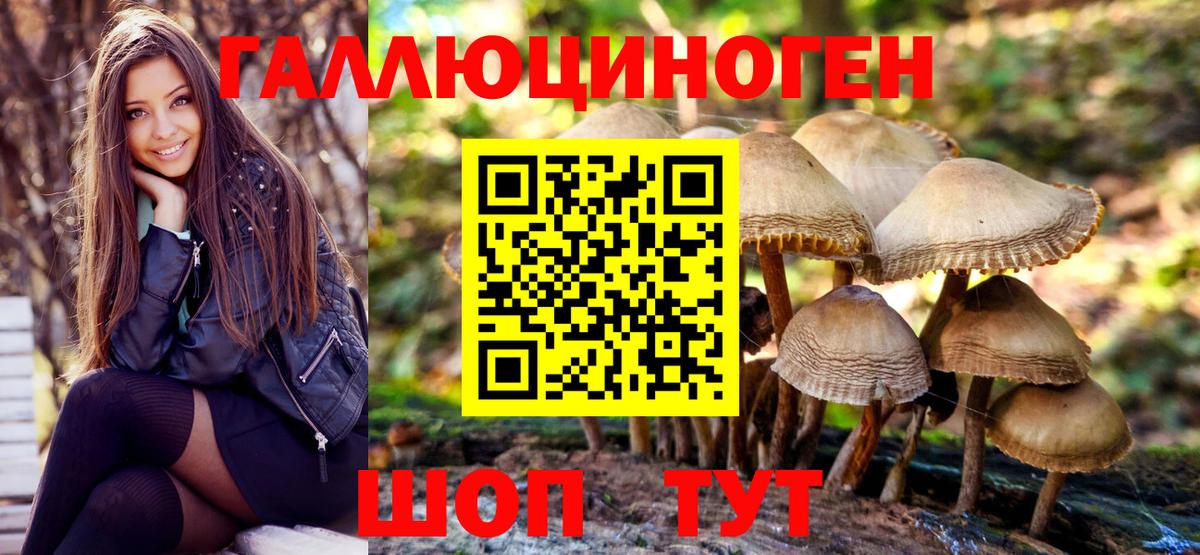 Псилоцибиновые грибы MAGIC MUSHROOMS Усолье-Сибирское